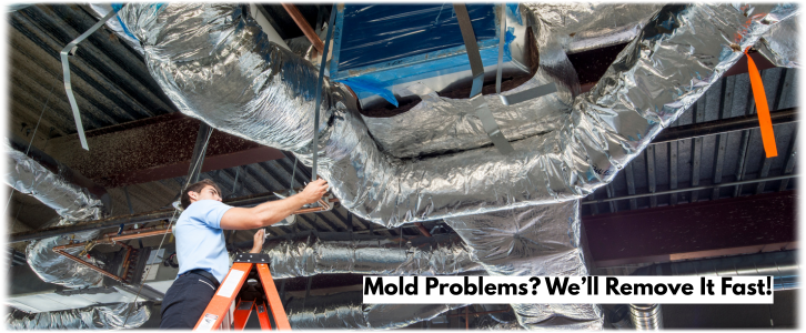 Air Duct Mold Removal in Tempe